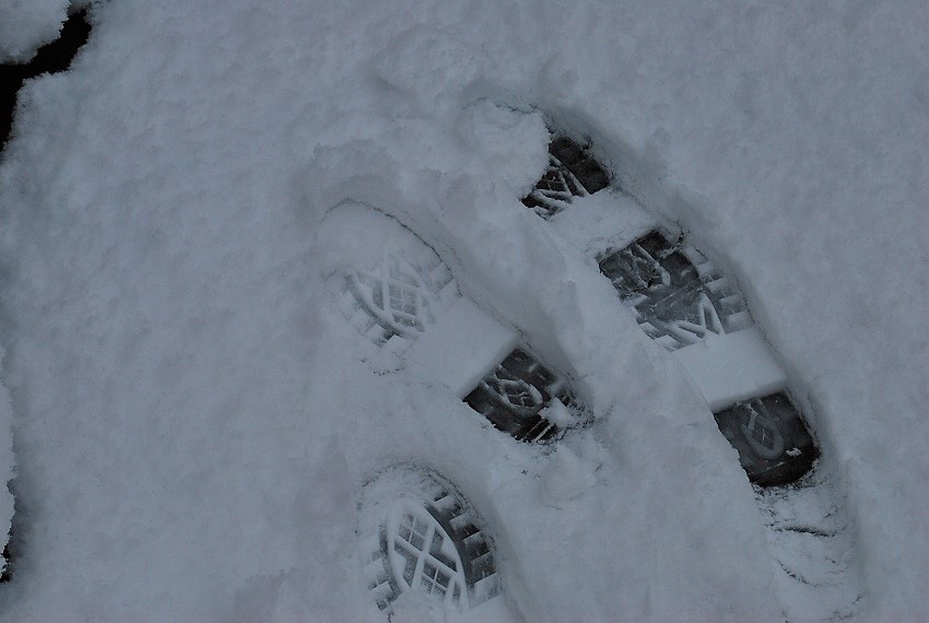 雪が積もってしまった