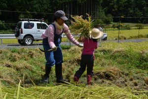 《コラム》32　「収穫祭」