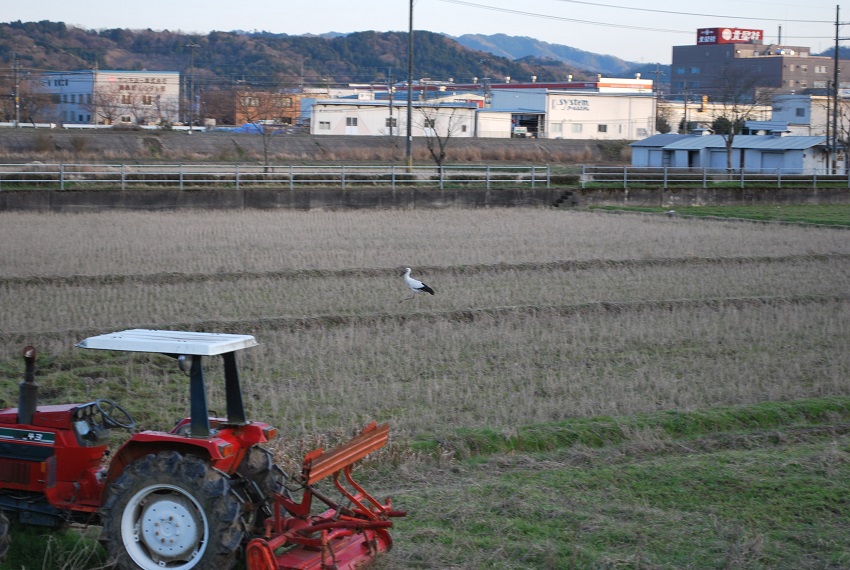 夢中