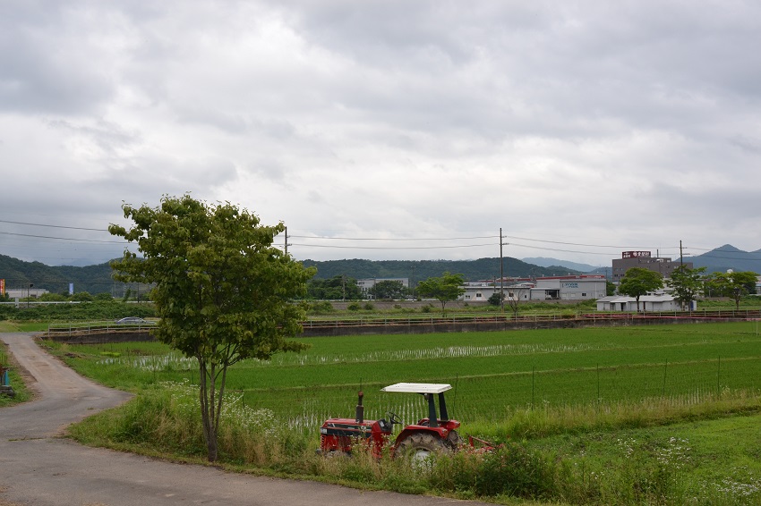 梅雨入り