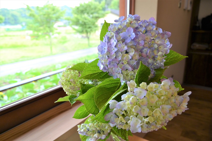 梅雨を感じる