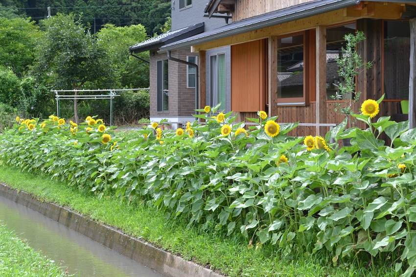 聴こえてきた