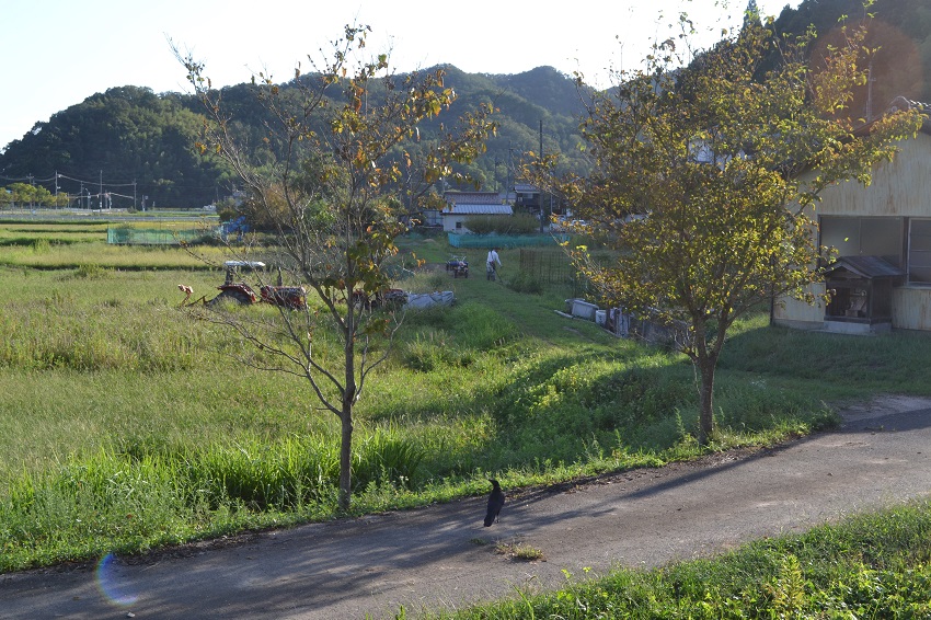 秋めく豊岡