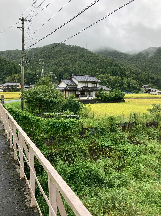 はじまり《兵庫県養父市》