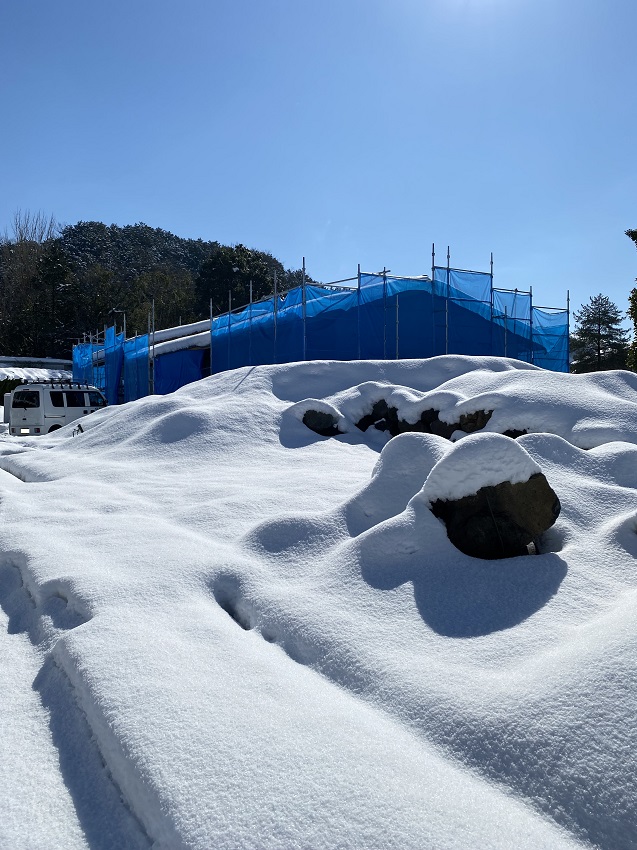 2月上旬