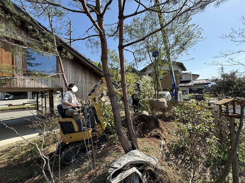 春爛漫