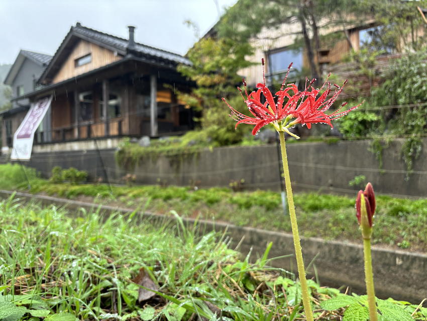 秋模様