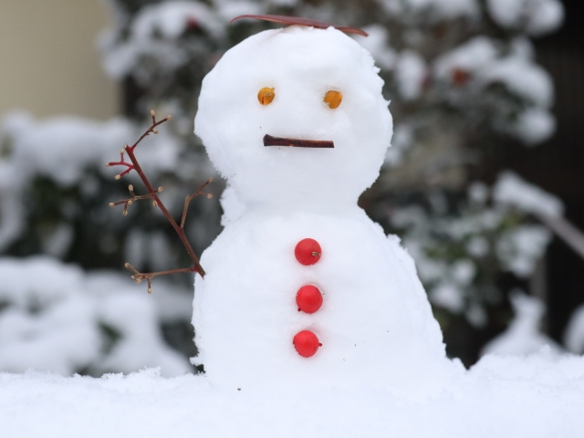 寒暖差の季節に感じる、家の温もり