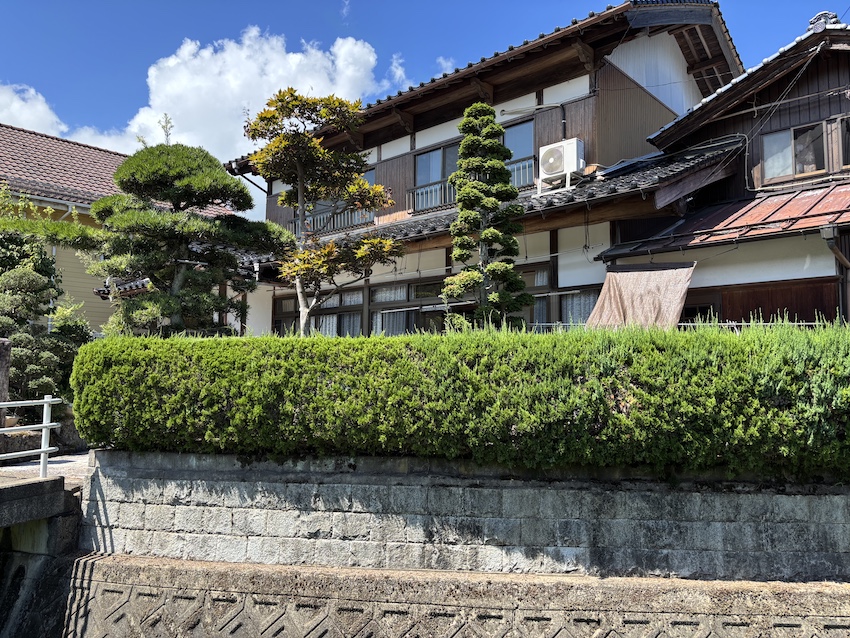 繭(まゆ)とレッスン