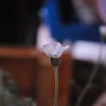 160213 blog 06 DSC_0002