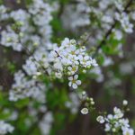 160329 blog 01 DSC_0011