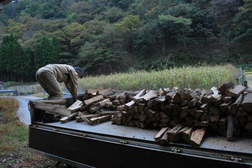 161104 blog 02 DSC_0012