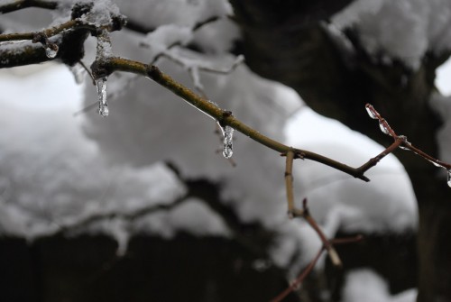 除雪の技