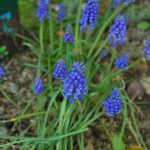 170414 blog DSC_0003