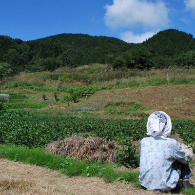 但馬・丹後の四季