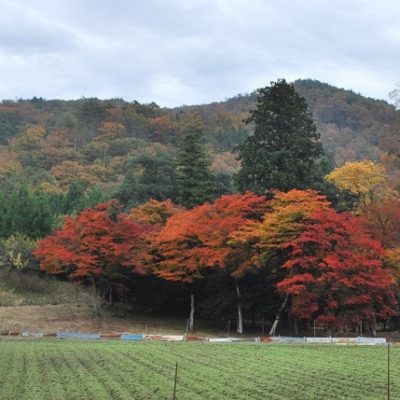 但馬・丹後の四季