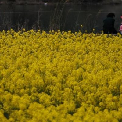 但馬・丹後の四季