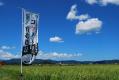 100810kounotori3.jpg