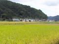 090914 kounotori4