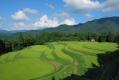 うへ山の棚田