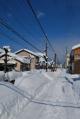 120203 satoyama3