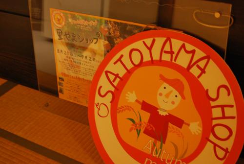 120902 satoyama2